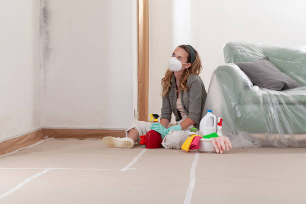 Reliable Mold Inspection contractor in Mickleton, NJ by WQB Mold Removal